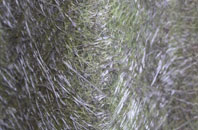 Highstreet fibreglass roof work